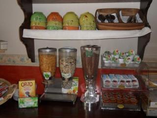 Eco-art De Albertis Milan