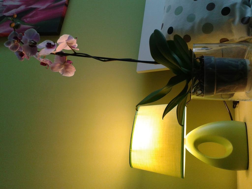 Certosa 3 Bedrooms Appartamento *