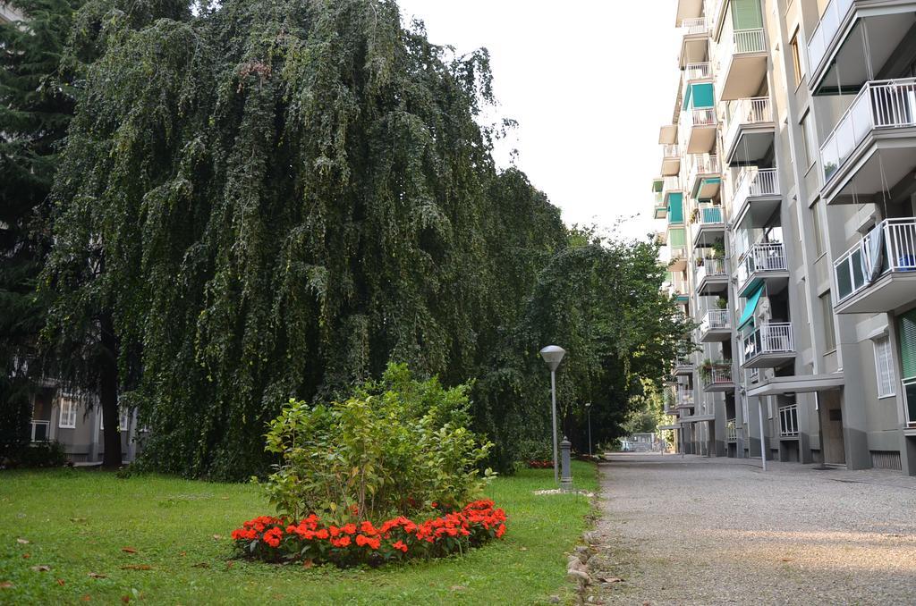 Alcuino Milan