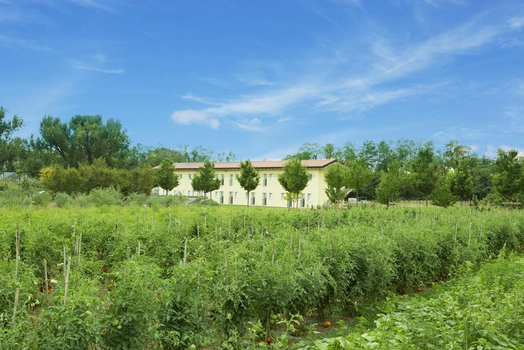 Dolce Luna Farm stay *
