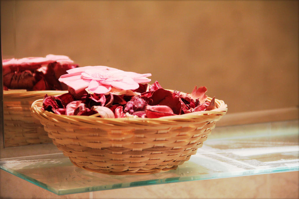 Bed & Breakfast Argentina Milan