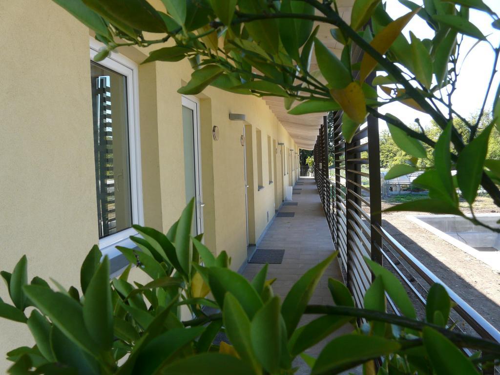 Dolce Luna Farm stay *