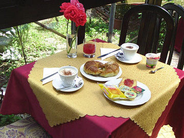 Hotel Adler Milan