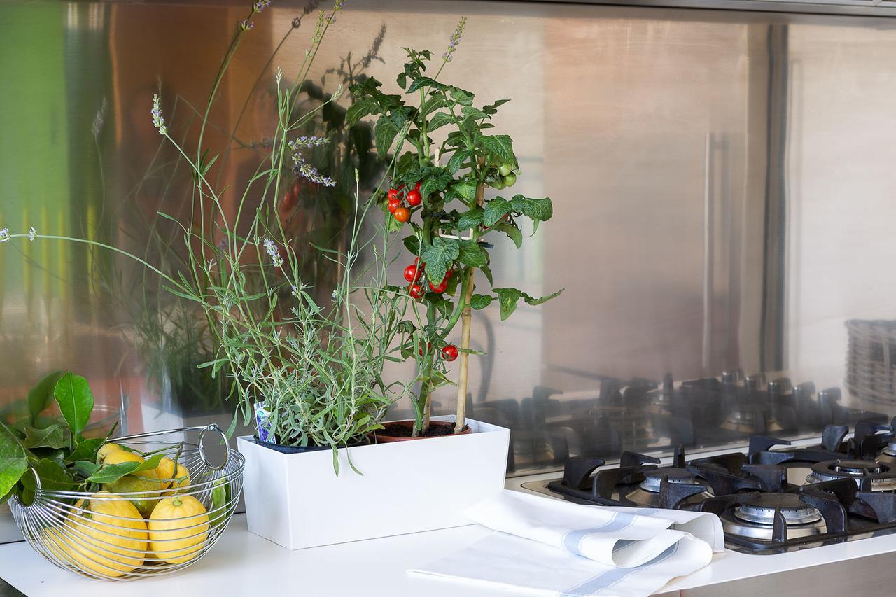 Guest house Zebra Naviglio