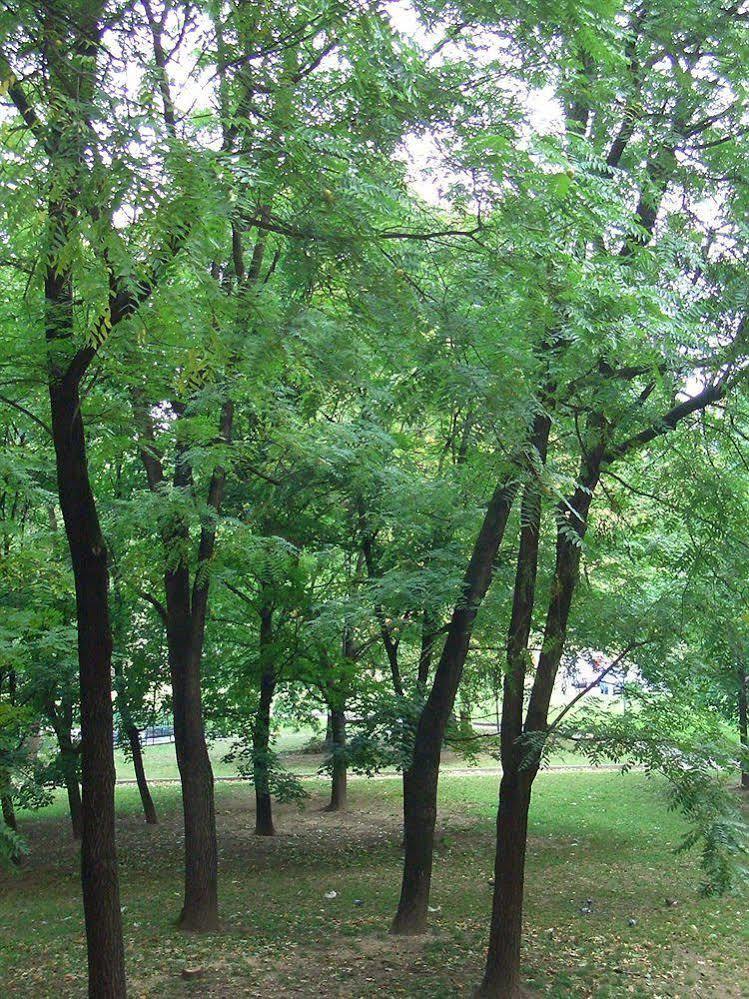 Parco Lambro Bed & Breakfast Milan
