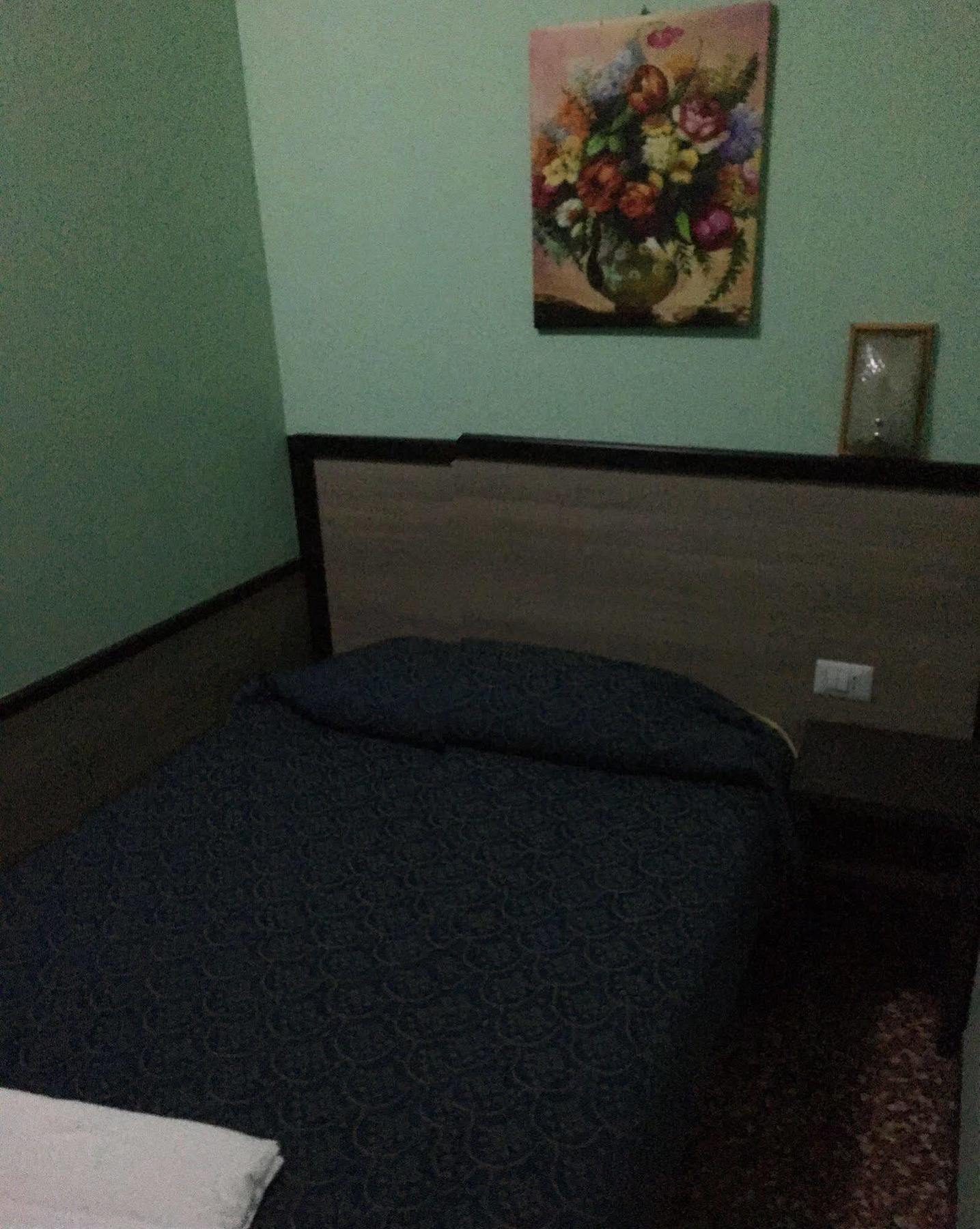Hotel Salus *