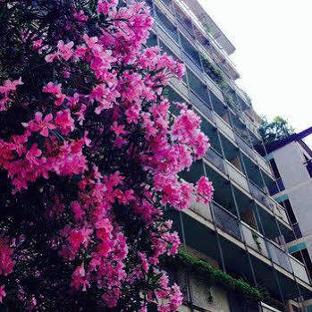 Bed & Breakfast Mundi Milan