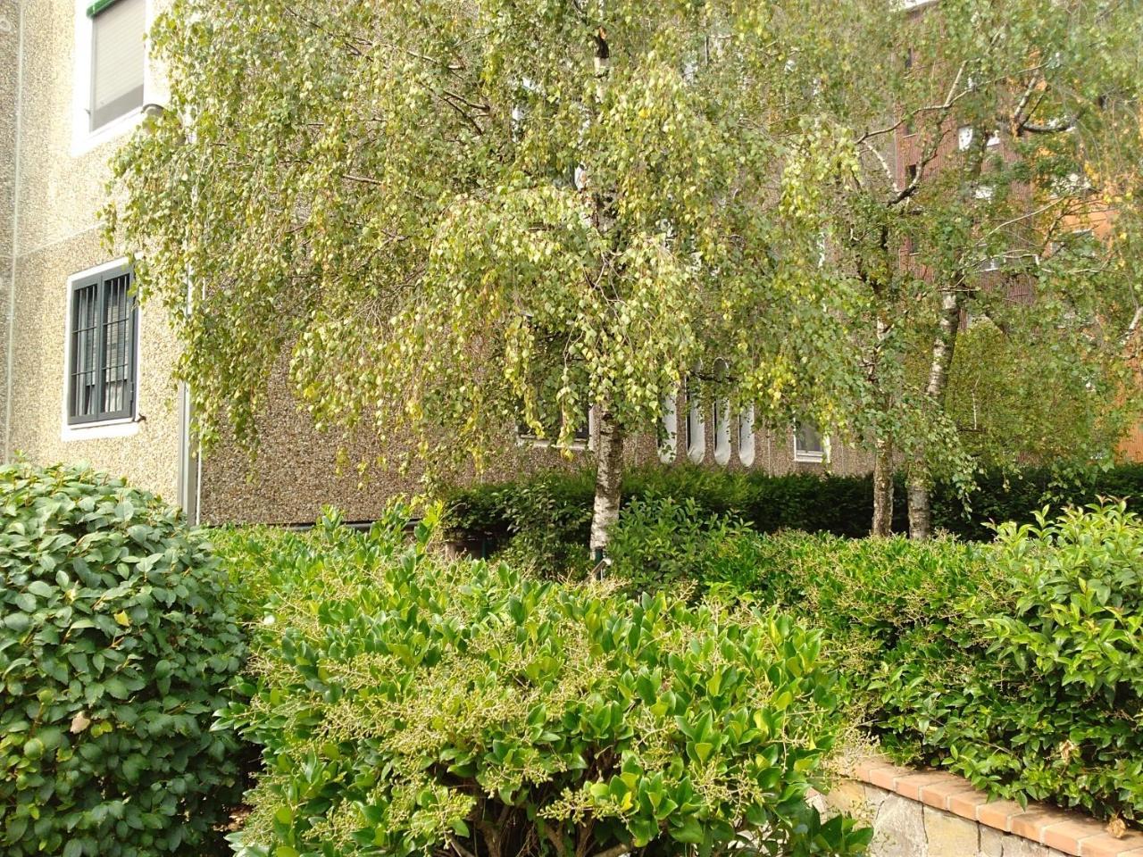 Apartment Kibilu - Via Borsa