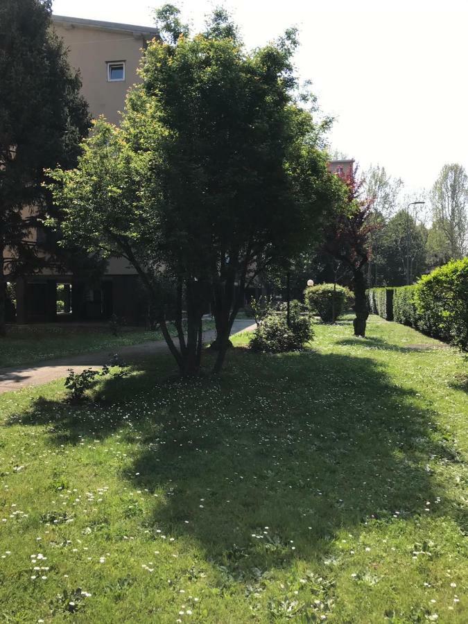 Apartment Bright Flat With Shared Garden *