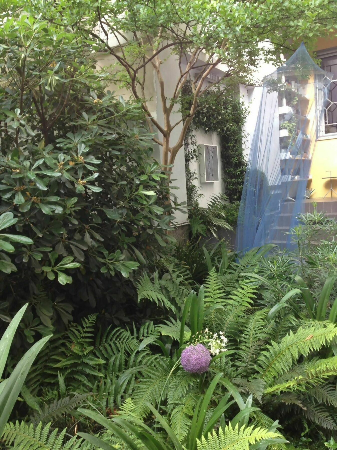 Rosso Segnale Guest house