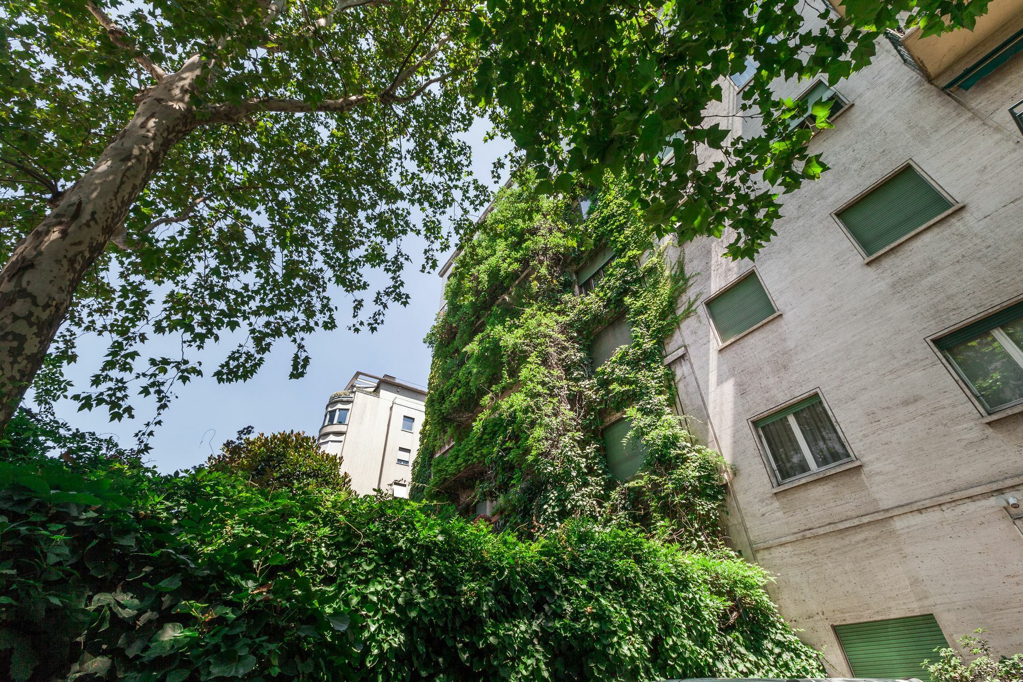 Apartment Majno *