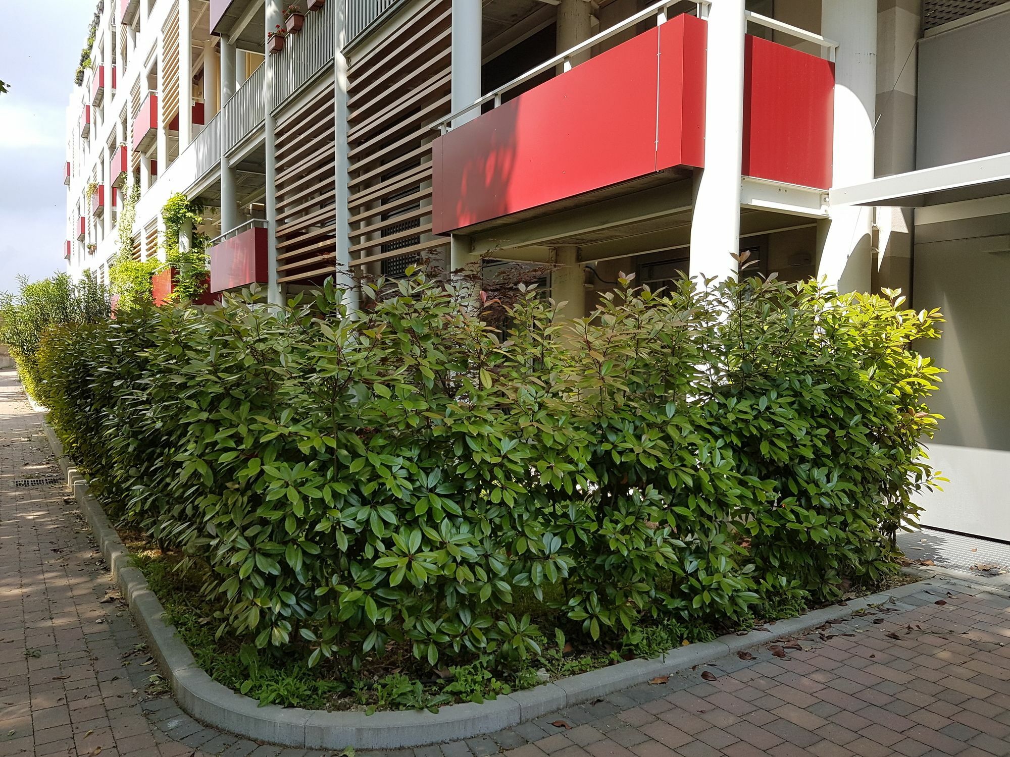 Bdp10 Apartment