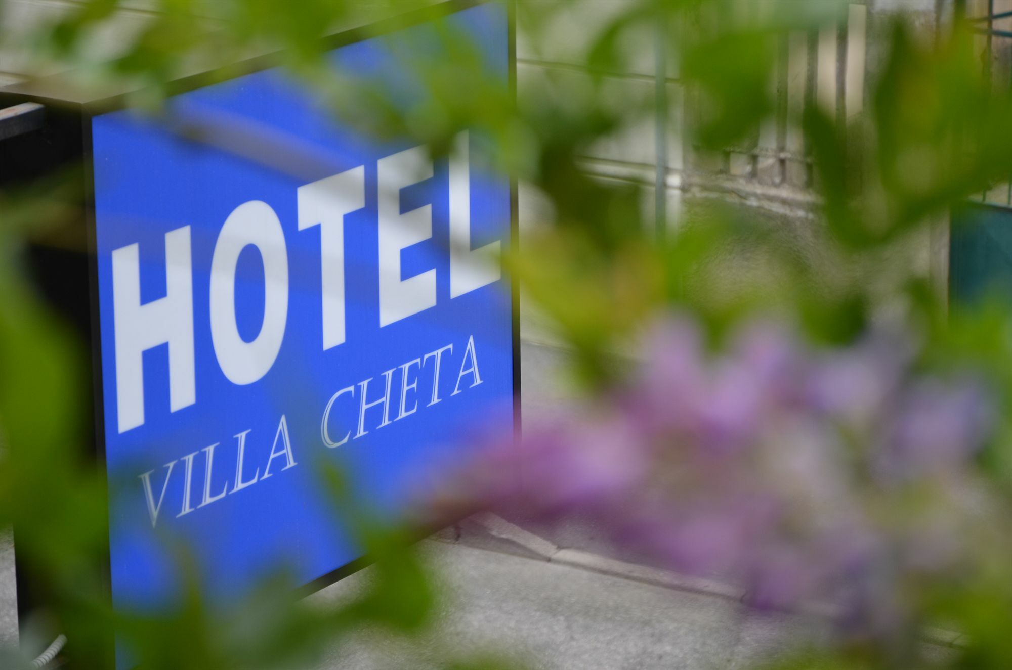 Guest house Cheta
