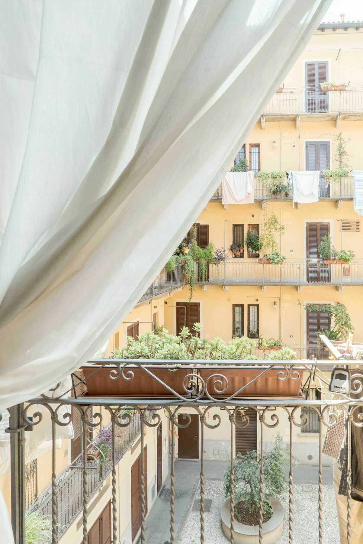 Charming Milanese *