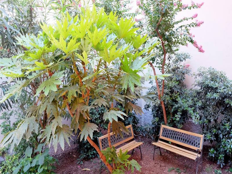 Bed & Breakfast I 10 Mondi 2*