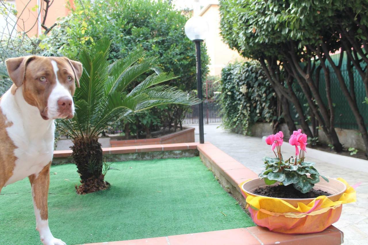 Guest house La