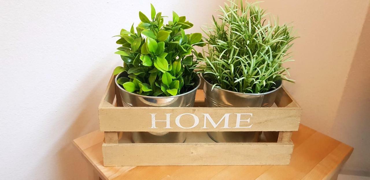 Apartamento M.h.s. *