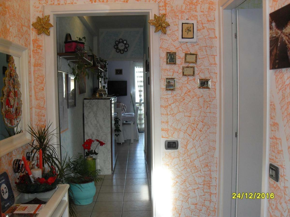 Guest house House
