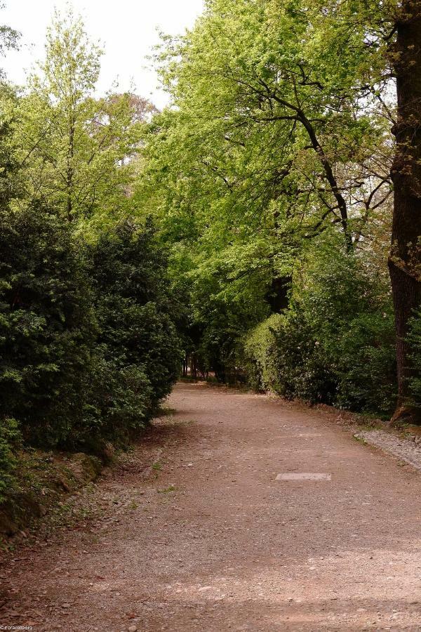 Apartamento Il Bosco Di Nora