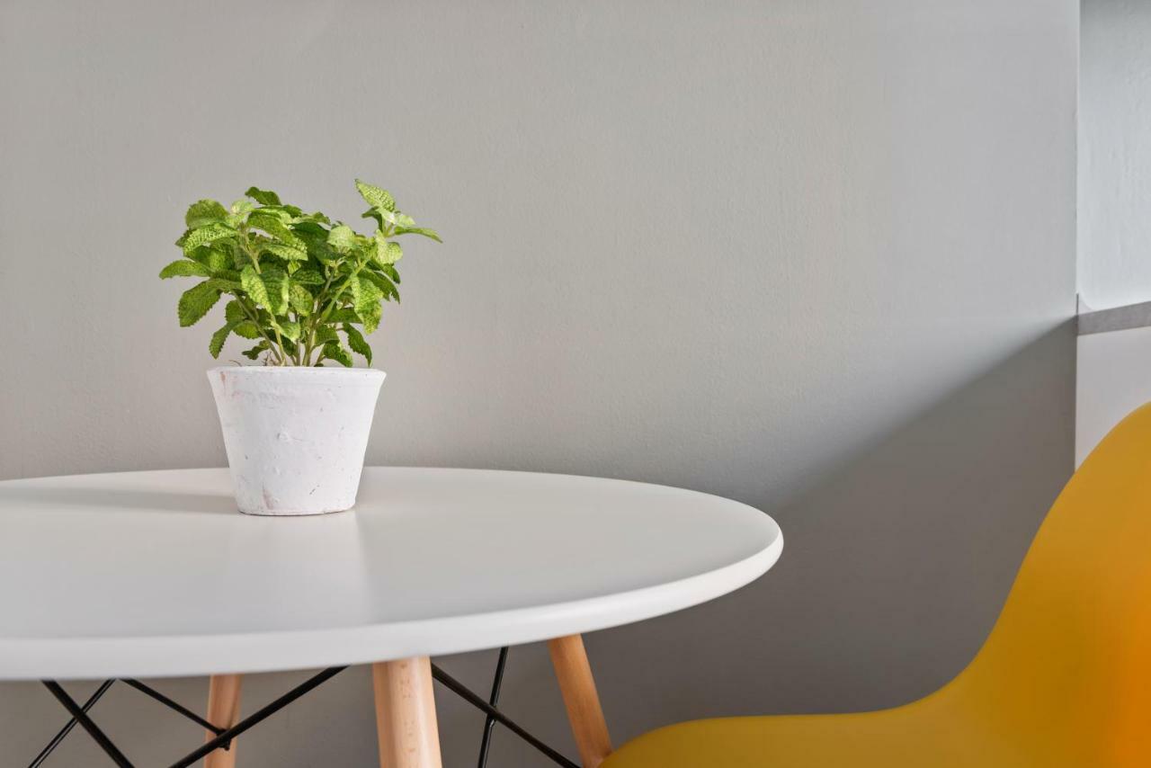 Insubria Apartment
