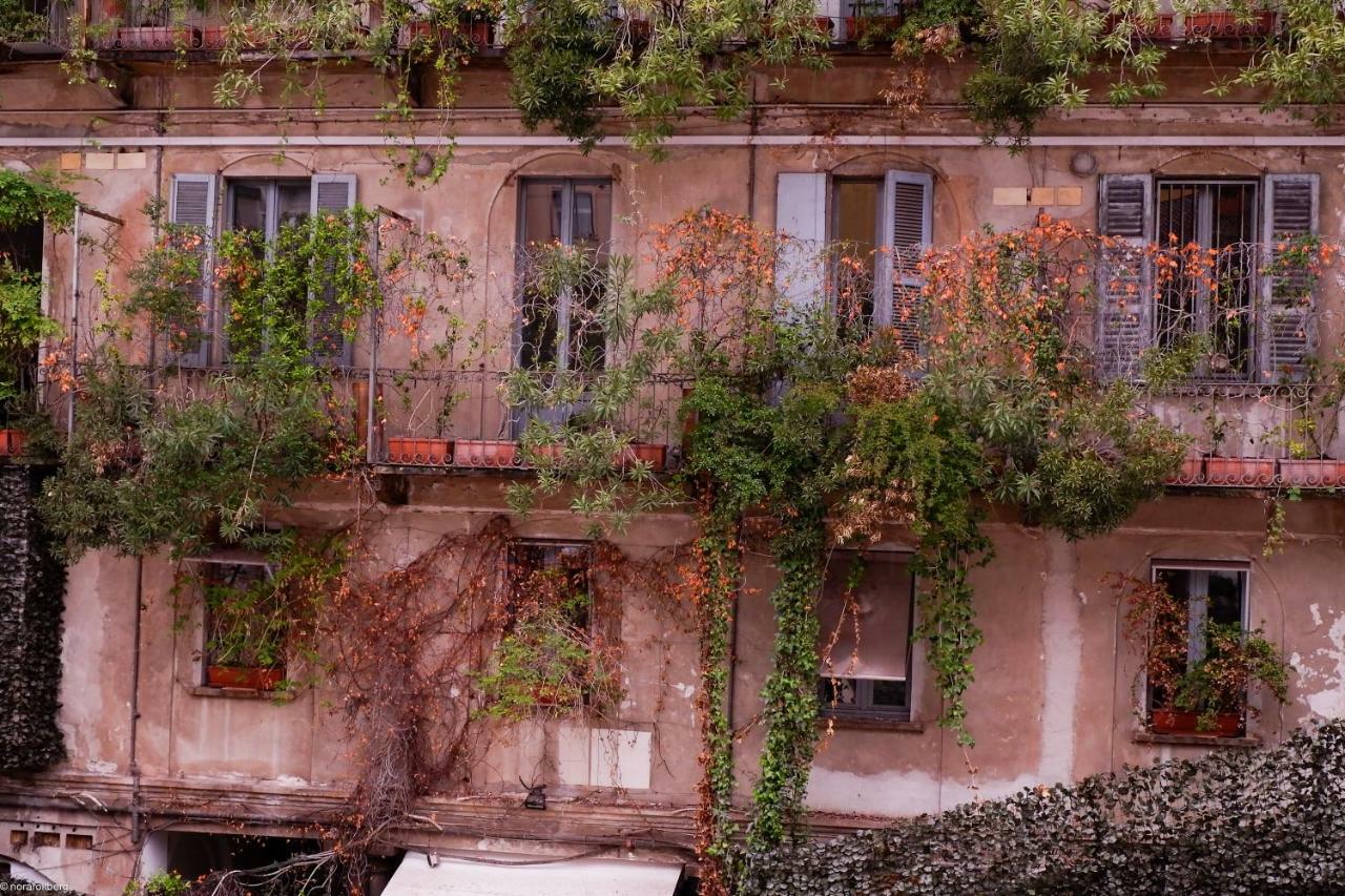 Il Bosco Di Nora *