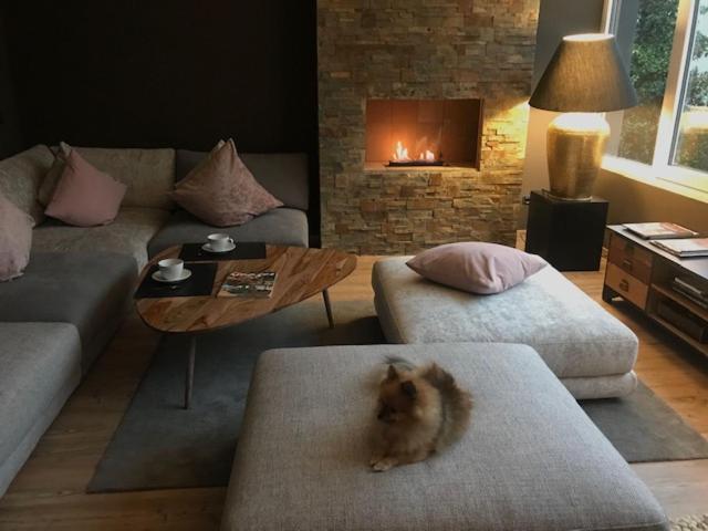 Apartment Experience Style *