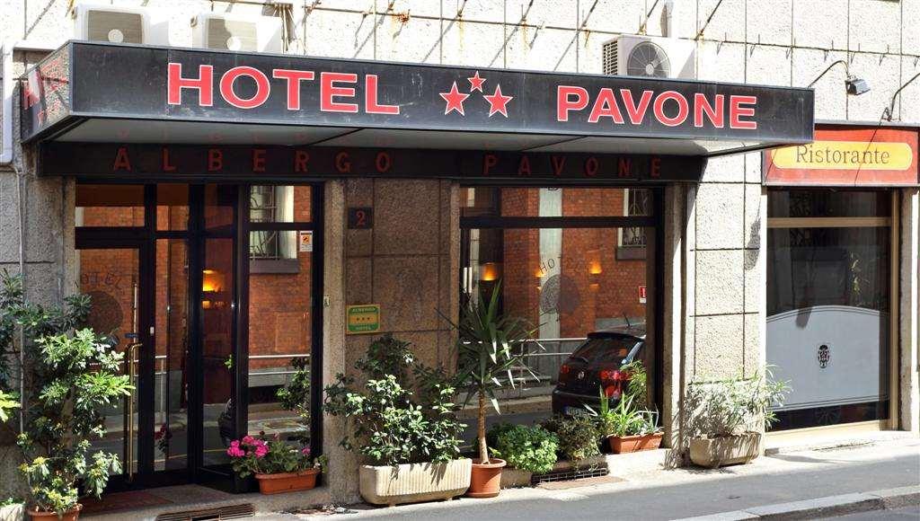 Pavone 3*
