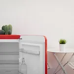 New! Lovely & Friendly In Milan Center B