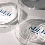 Hotel Milu Milano