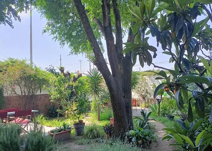 Room With A Garden