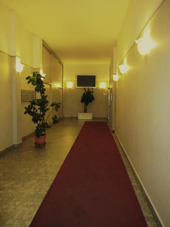 Star Hostel *