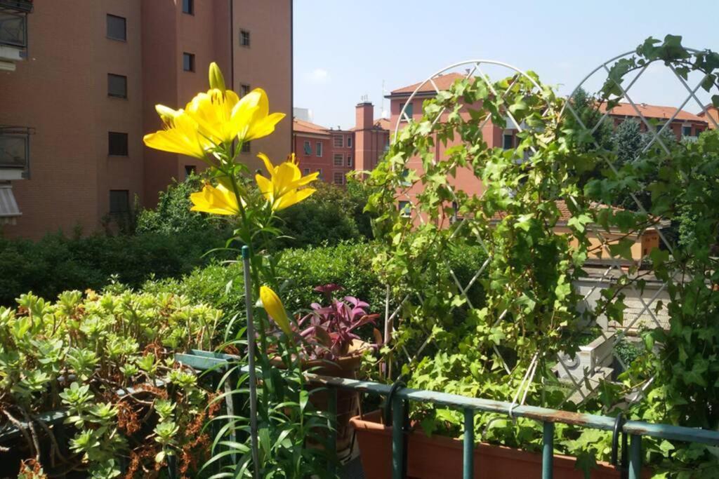 Bright & Cozy With Balcony Guest house *