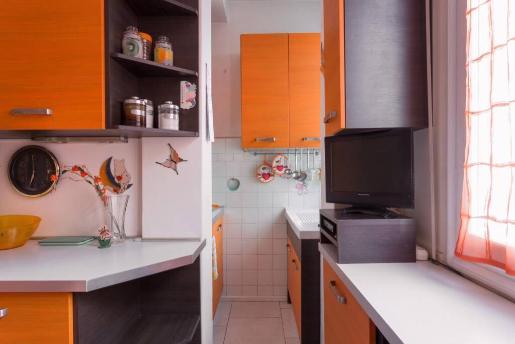 Bright & Cozy With Balcony Guest house Milan