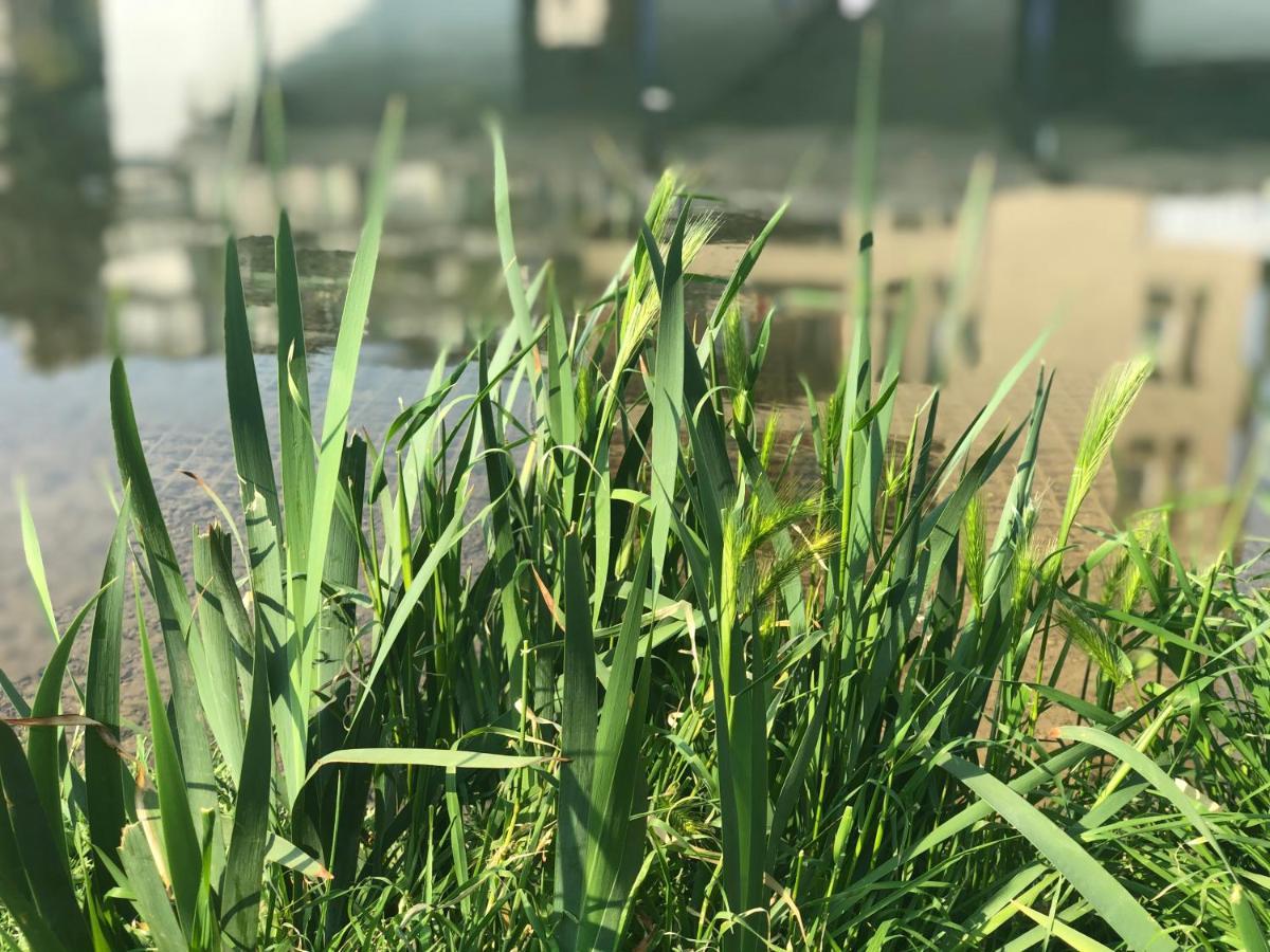 Residenza Fiori Di Grano Acomodação com café da manhã 