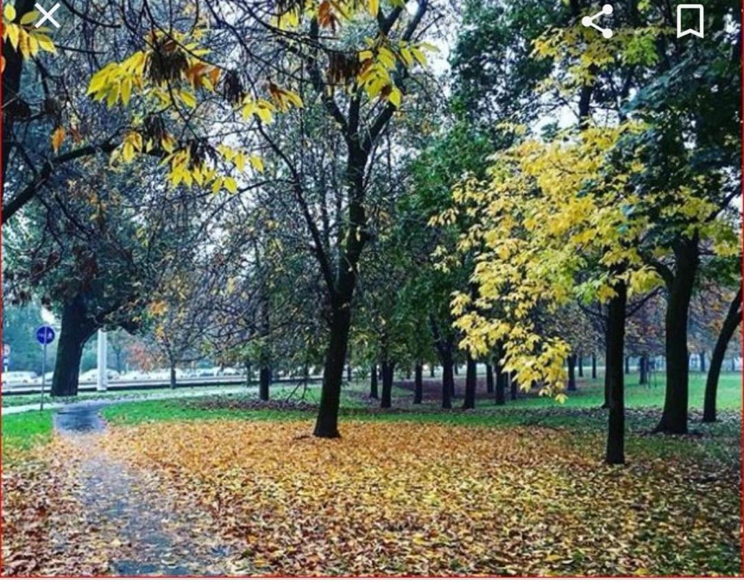 Stanze Park Delle Favole Guest house Milan