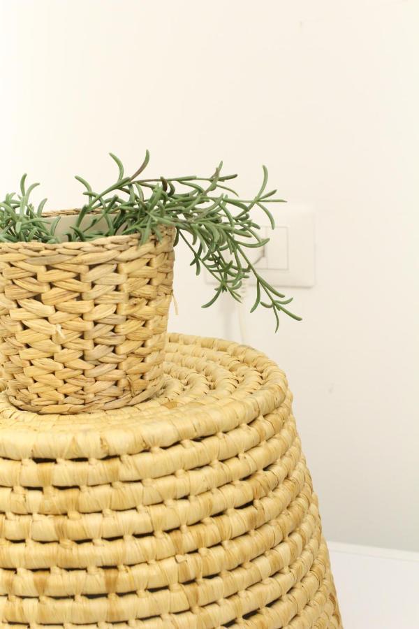Bamboo Pastorelli Milan