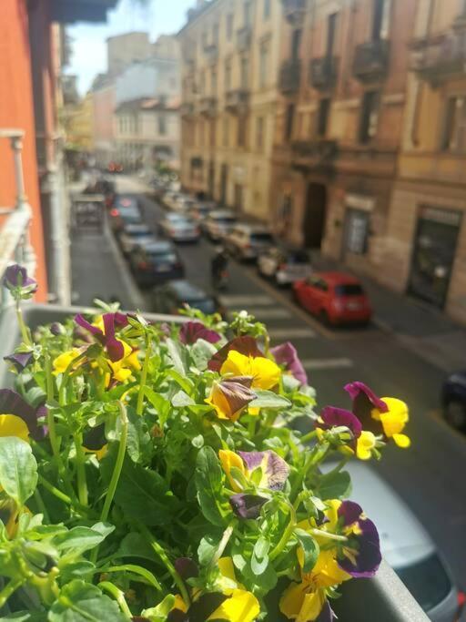 Appartamento Mini Sarpi
