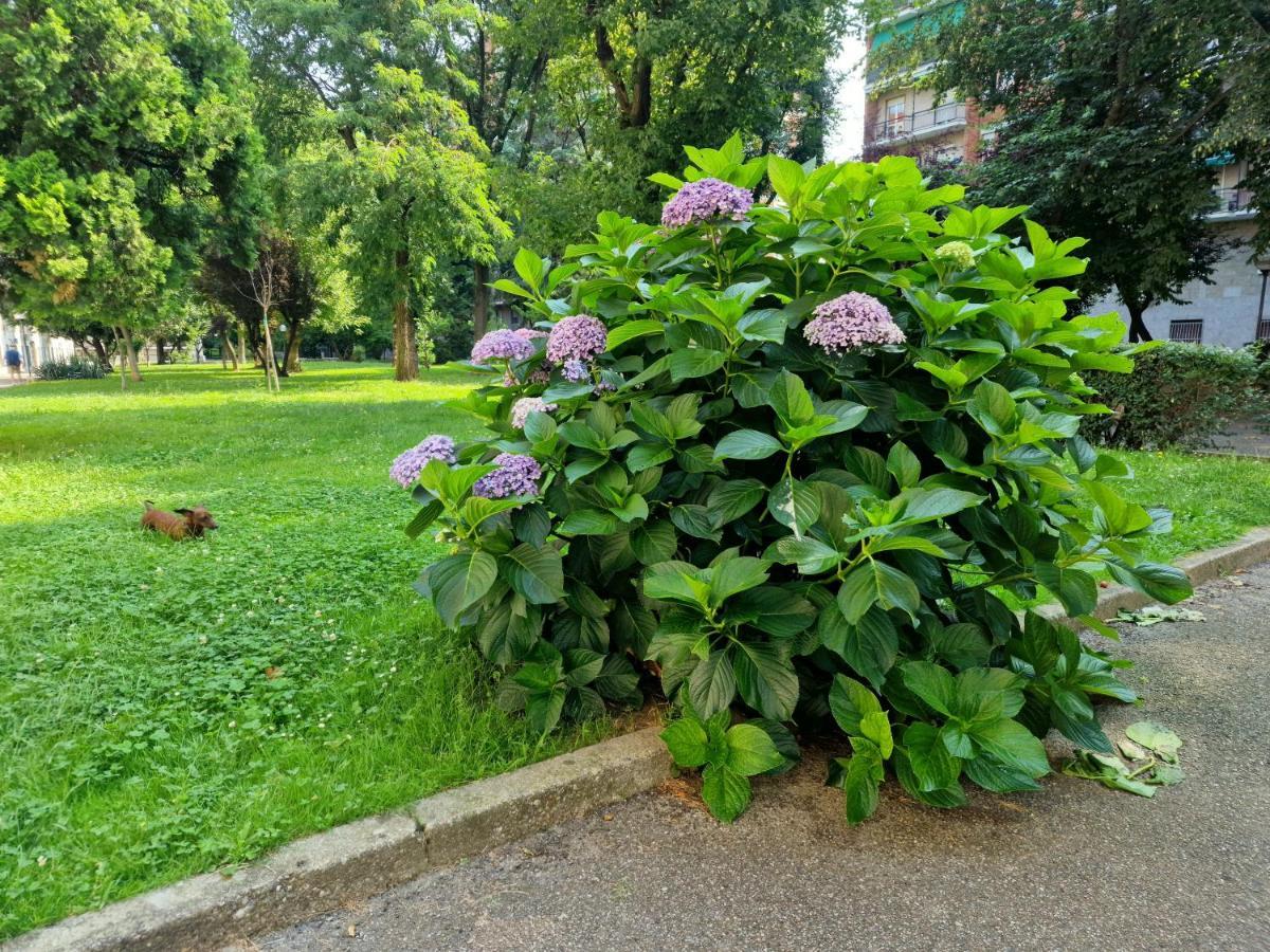 Giardino Sul Naviglio Apartment Milan