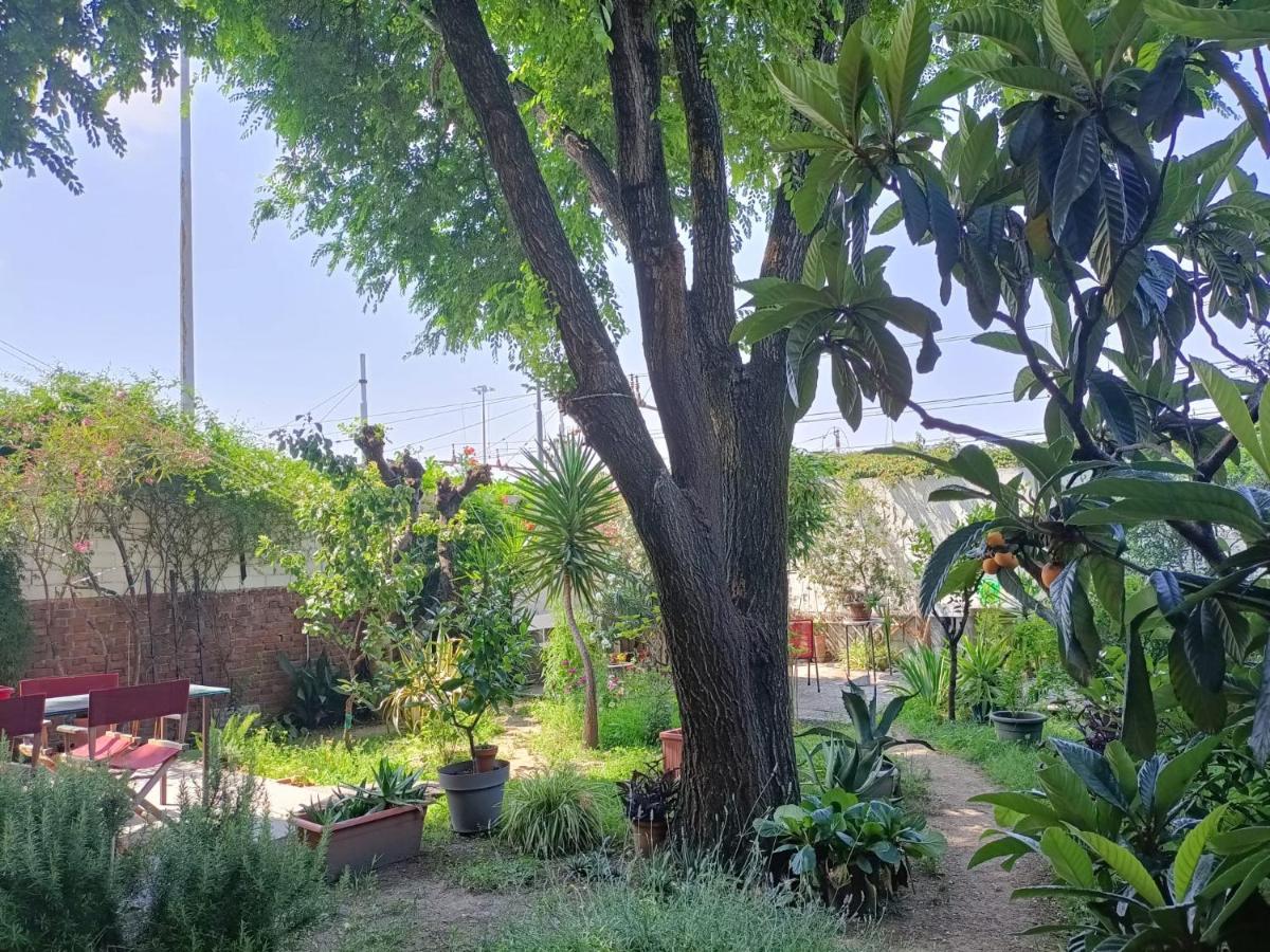 With A Garden Homestay