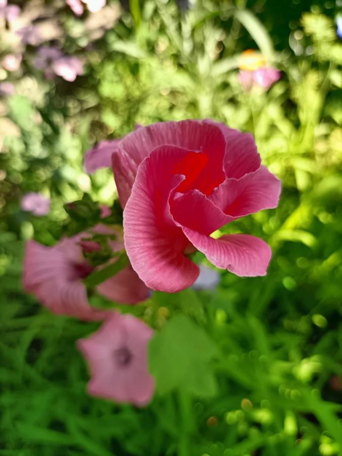With A Garden * Milan