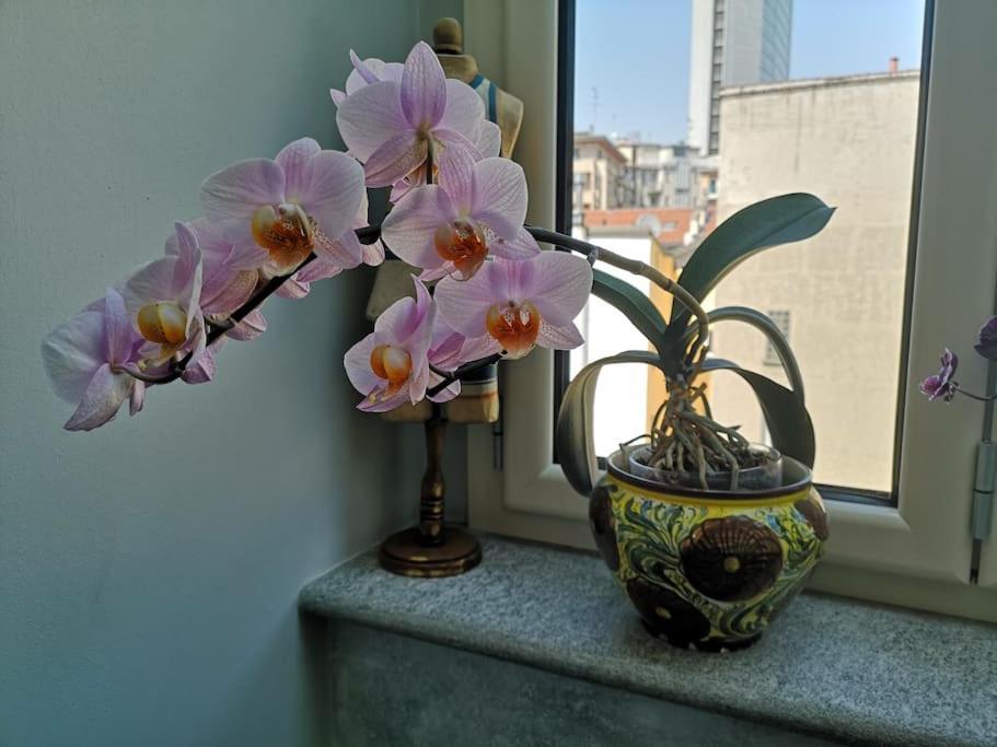 Apartamento Centrale-luxury With Garden Terrace *