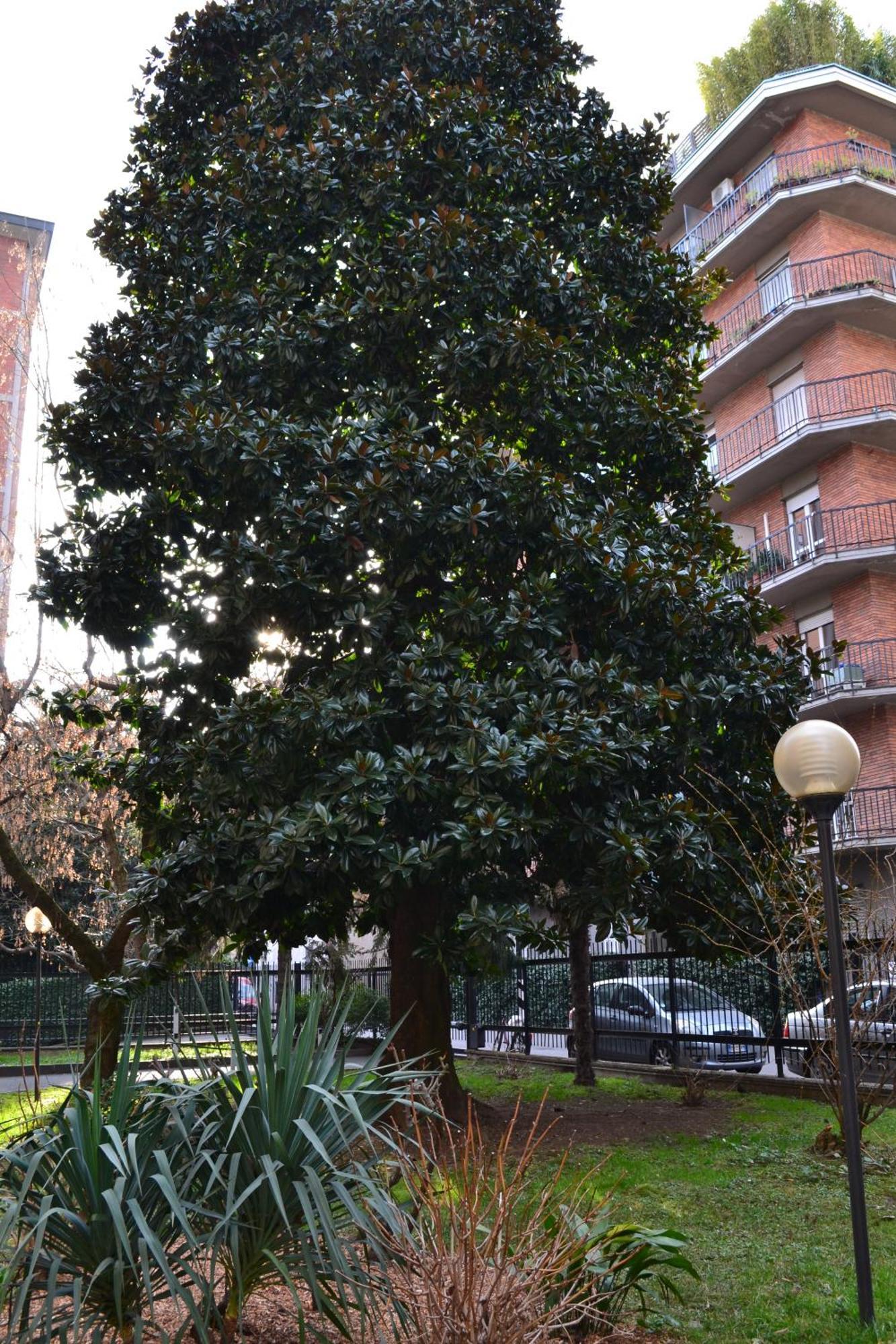 Mocenigo4 Apartamento *