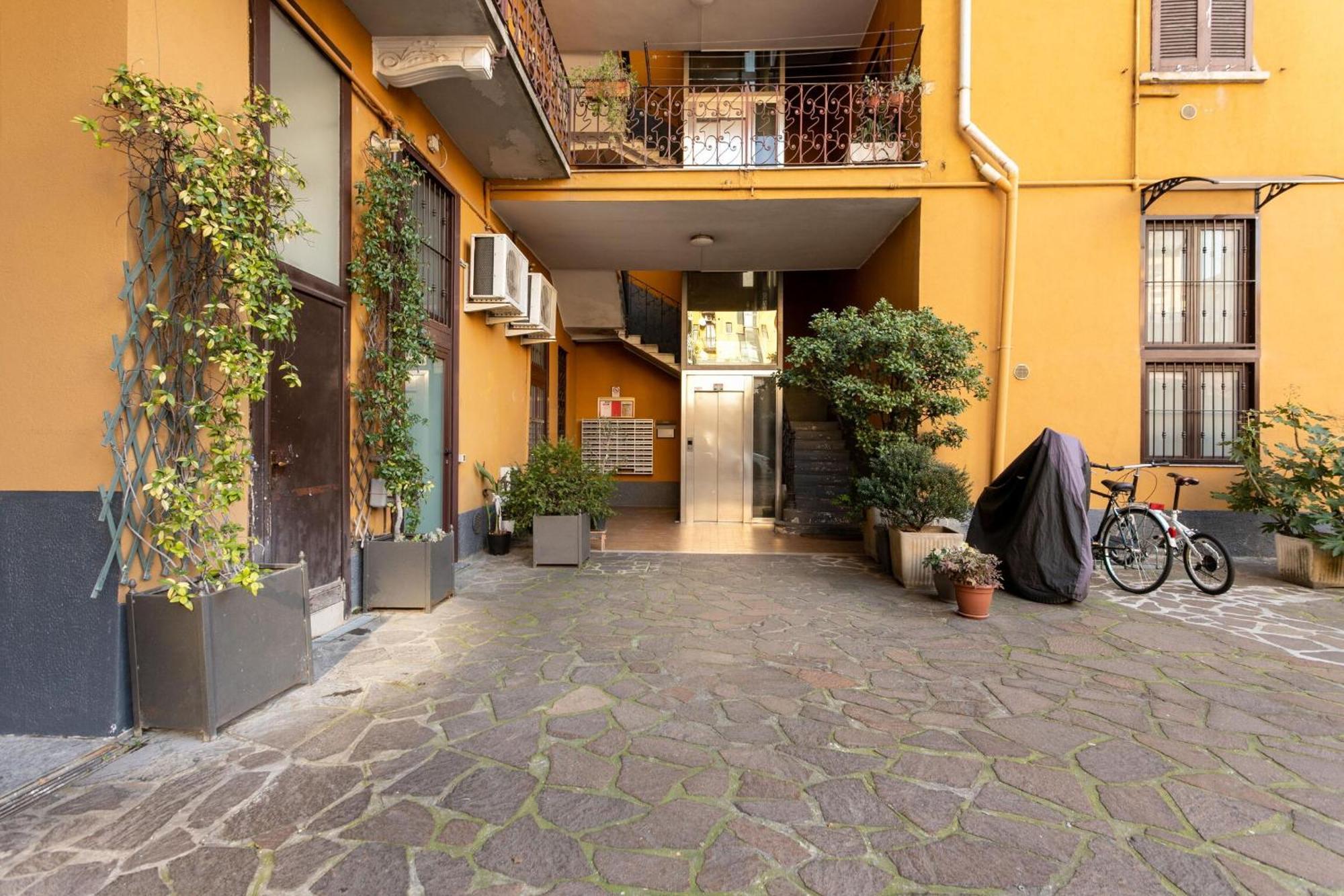 Accademia By Halldis