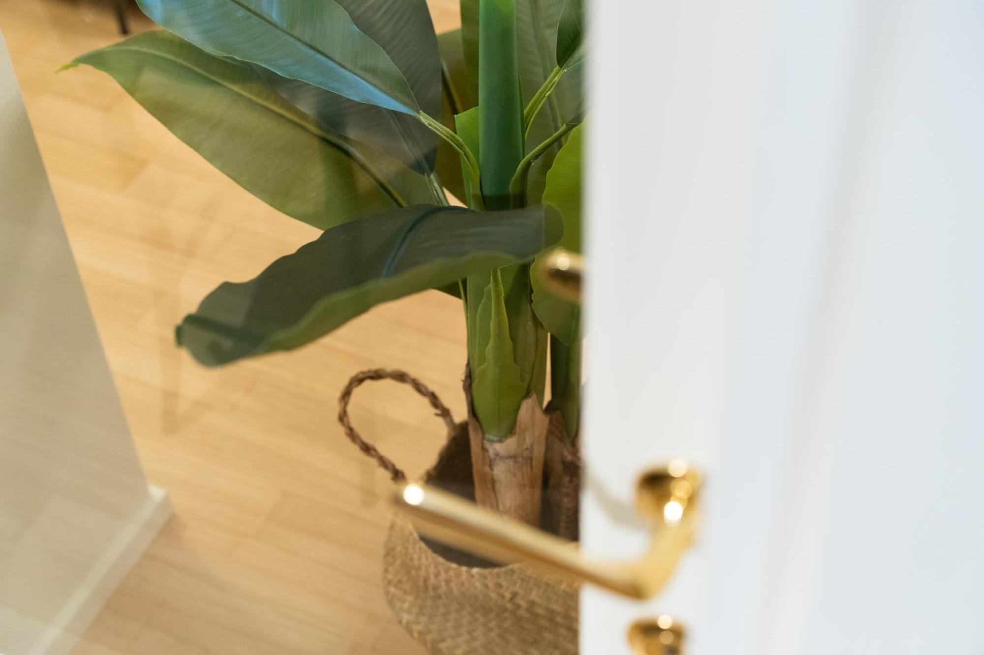 Brera Design Milano