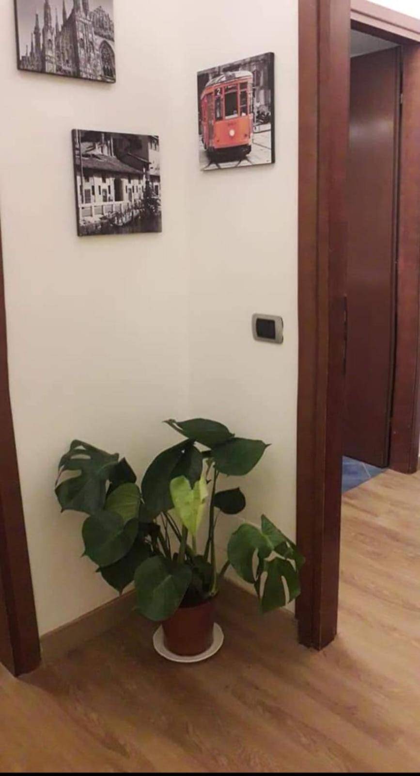 Domobella -- Ripamonti / Ieo / Prada / Bocconi -- * Milan
