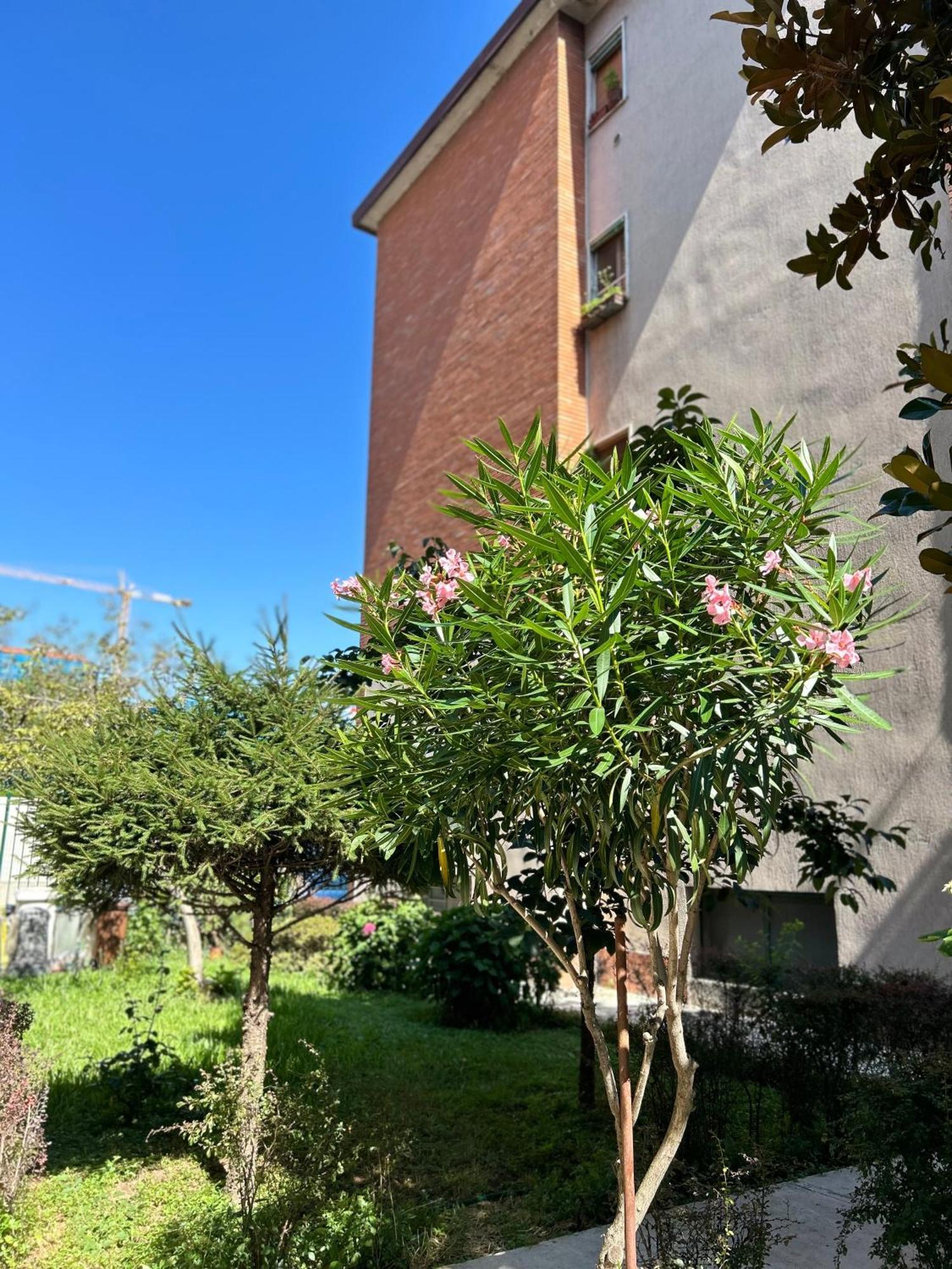 Apartamento Soggiornare Sul Naviglio Milão
