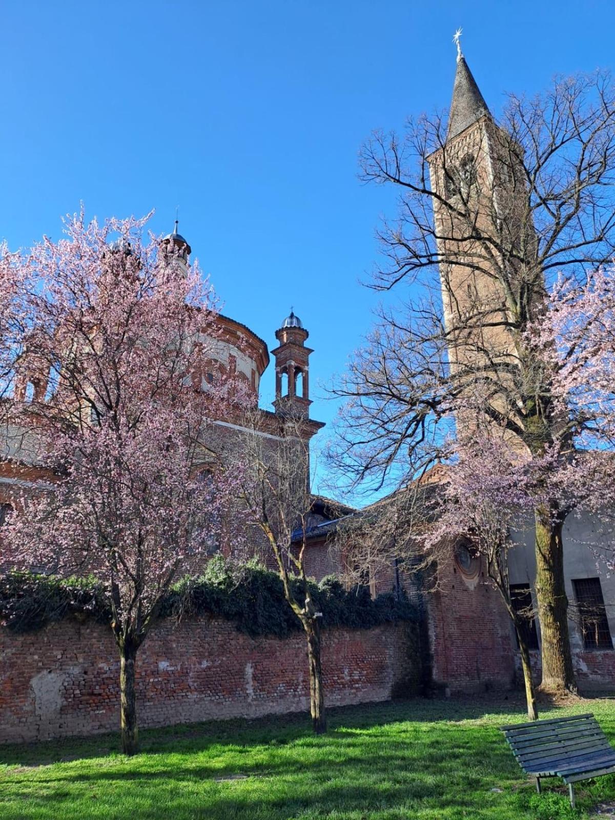 Apartment Vetra-parco Delle Basiliche 2 Pax- Wifi- Banfi