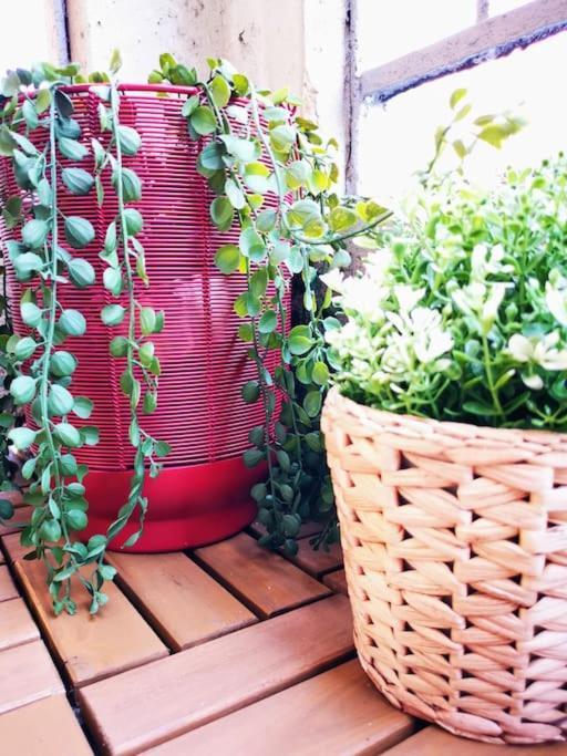 Apartment Sunny Flat 50 Meters From The Metro Milan