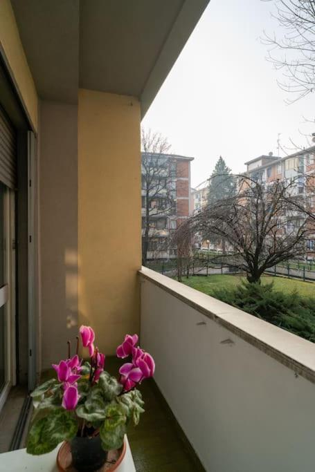 Pop Connection Apartment *