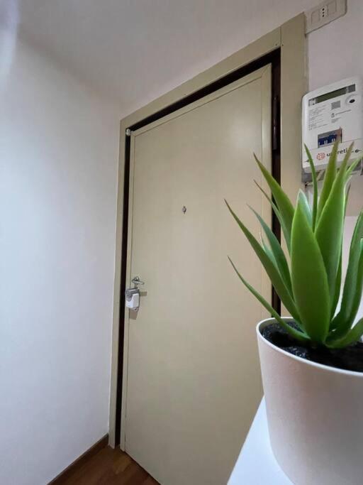 Trebbia Tavrvs Real Estate Apartment Milan
